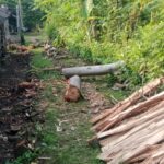 PTSL Desa Sumber Trenggalek.