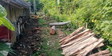 PTSL Desa Sumber Trenggalek.