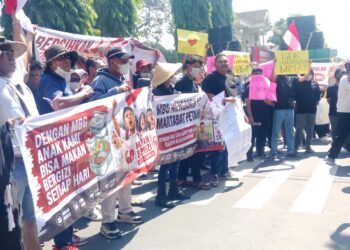 Makan Bergizi Gratis