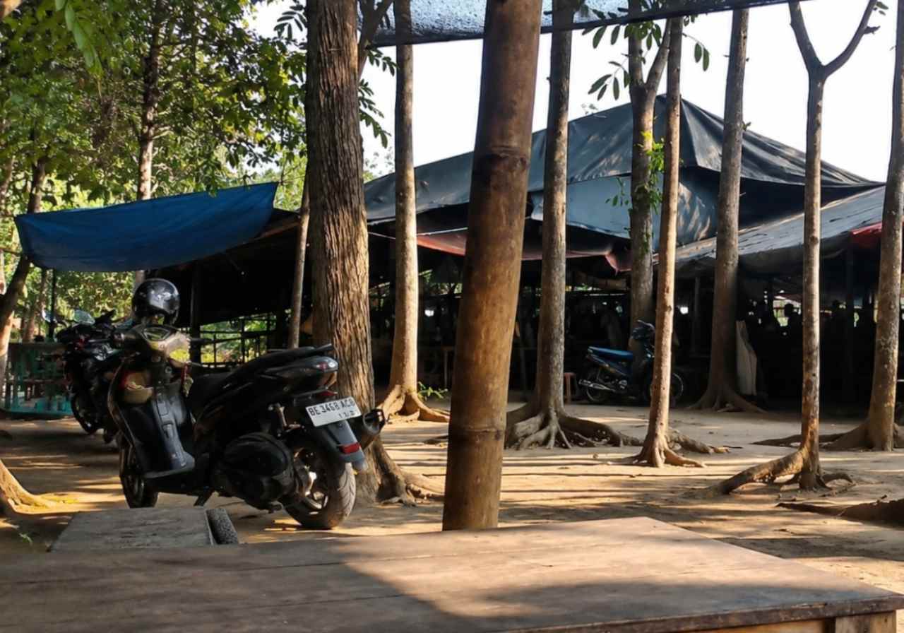 Diduga Jadi Arena Judi Sabung Ayam, Lokasi Tersembunyi di Ngunjang Disorot