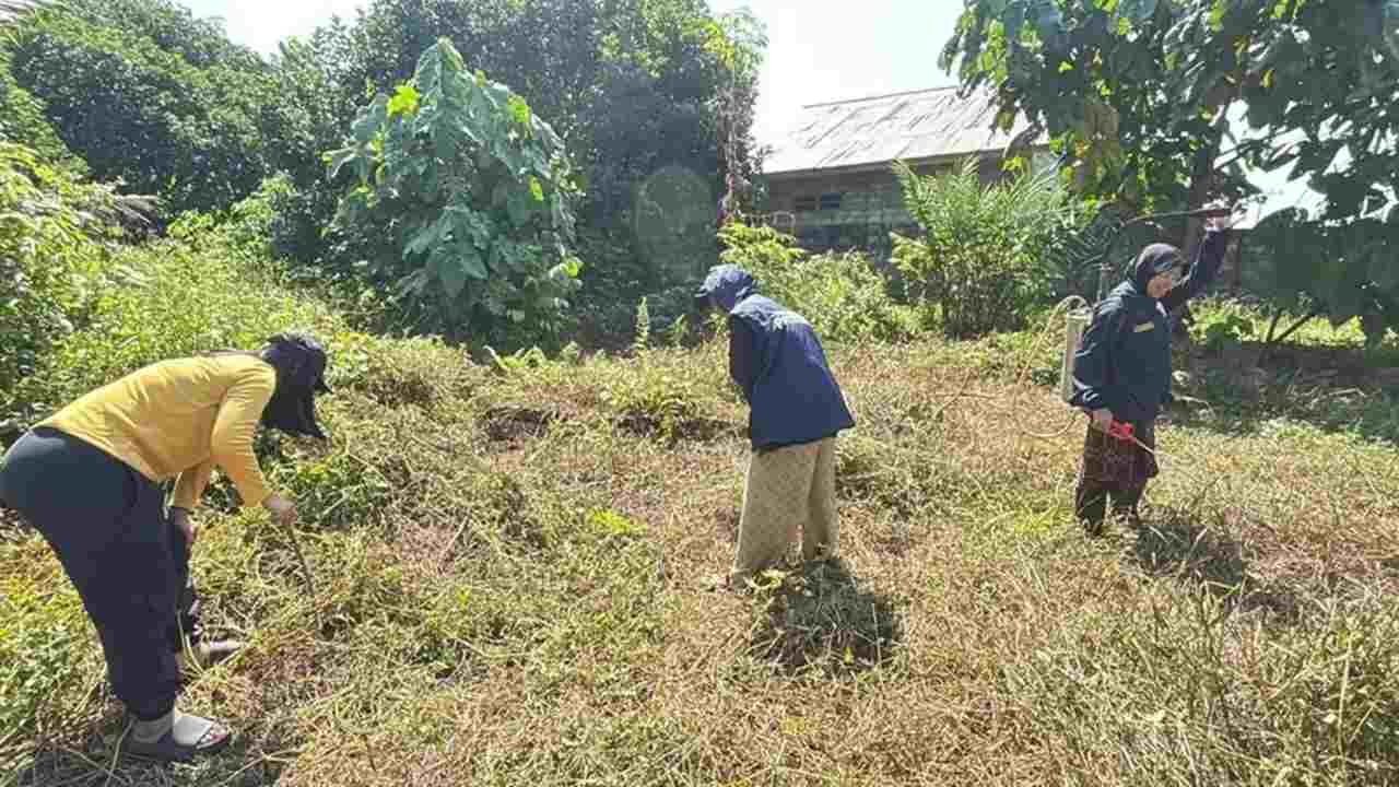 TEP Kementrans UNAIR Bersama Kader Prafi Siapkan Lahan Produktif, Dorong Keluarga Sadar Gizi dan Ekonomi Kader